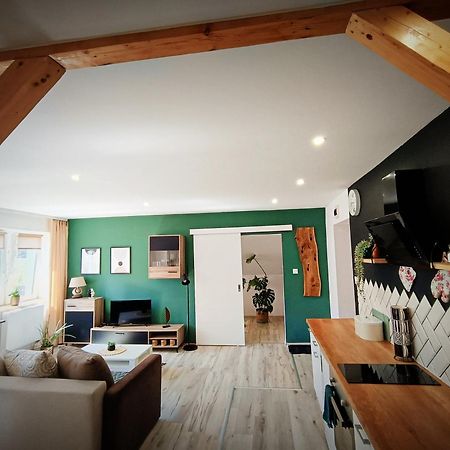 Apartament U Edka Przy Dolnej Świeradów-Zdrój エクステリア 写真