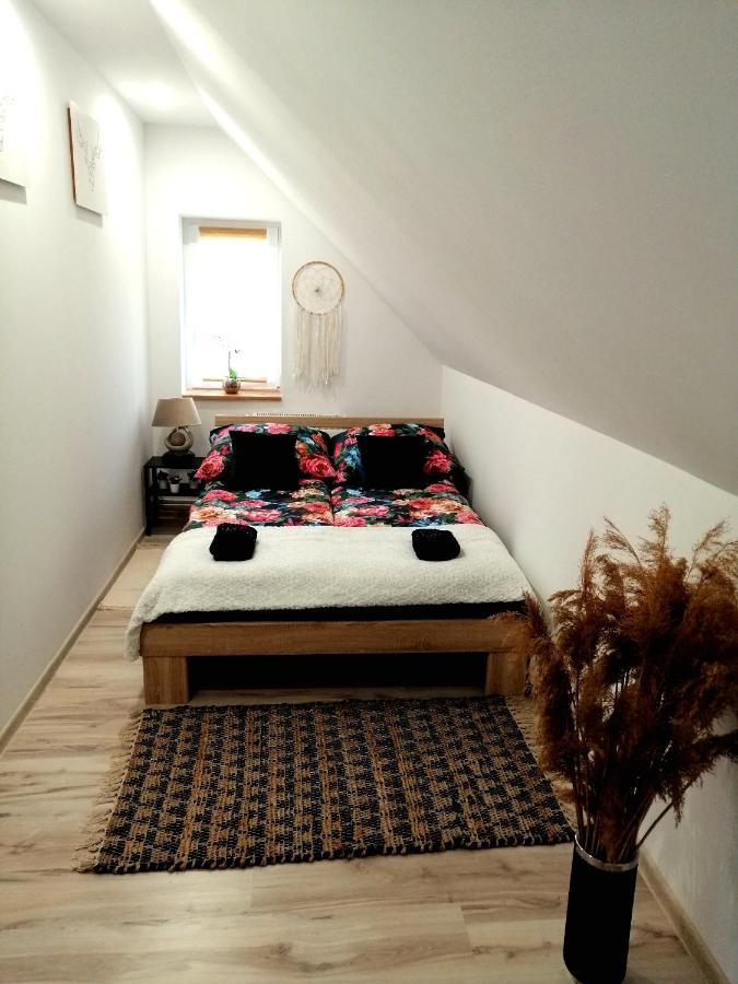 Apartament U Edka Przy Dolnej Świeradów-Zdrój エクステリア 写真