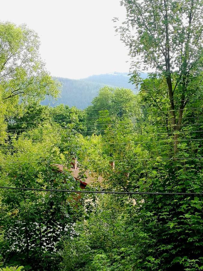 Apartament U Edka Przy Dolnej Świeradów-Zdrój エクステリア 写真