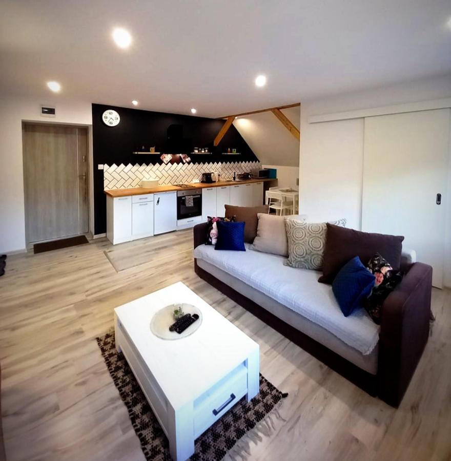 Apartament U Edka Przy Dolnej Świeradów-Zdrój エクステリア 写真